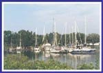 Indian Creek Marina