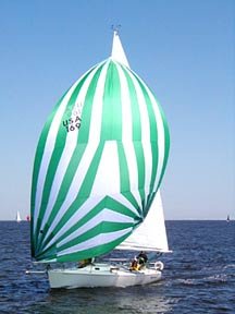 No169 Spinnaker