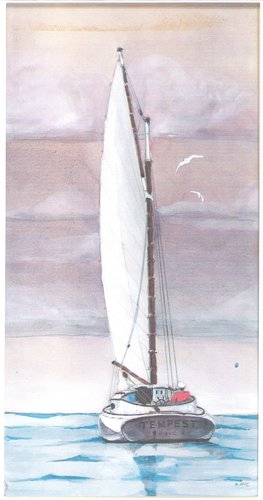 Tempest 32 foot Catboat.jpg